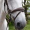 BR100 Venice Bridle with Reins - Available in Cob or Full - Black or Havana, Pick'n'Mix